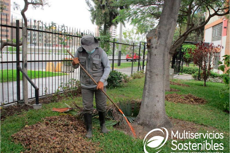 Mantenimiento de Áreas Verdes