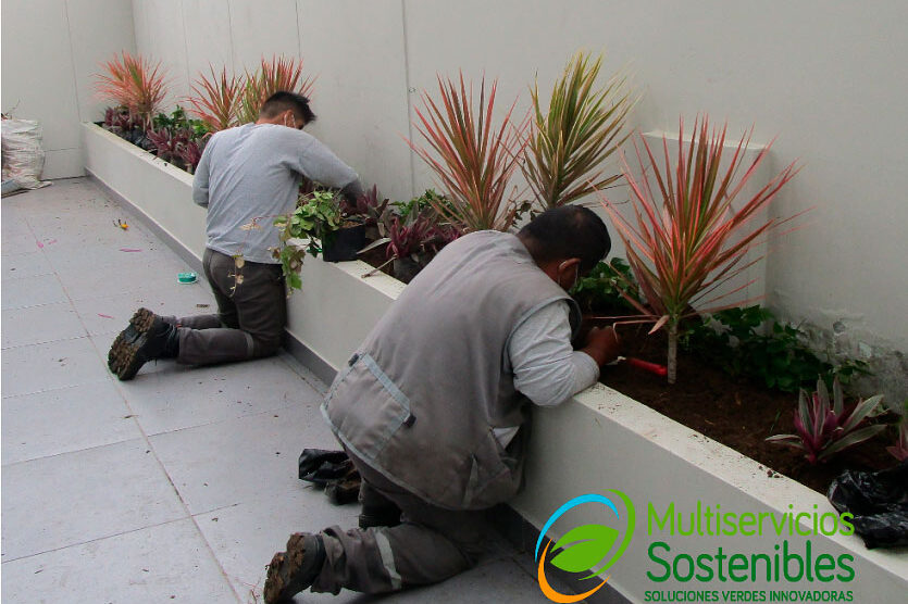 Mantenimiento de espacios verdes lima