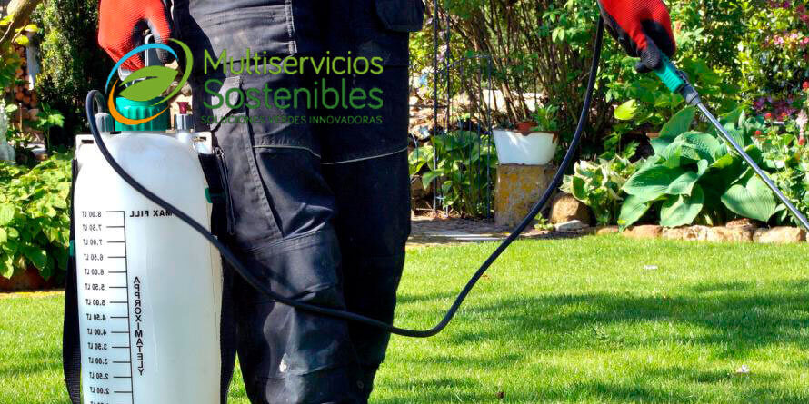 Control-y-prevención-de-las-malas-hierbas-para-mantener-la-belleza-de-sus-áreas-verdes-en-lima