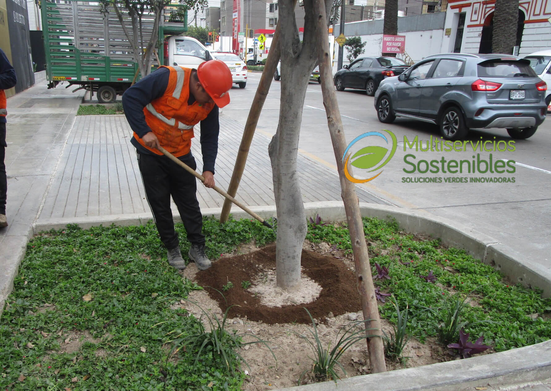 Fertilizacion-de-arboles—multiservicios-sostenibles Fertilización de árboles y áreas verdes