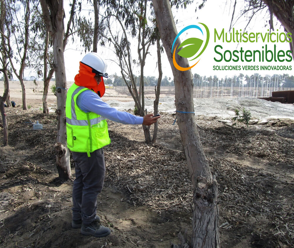 Por-qué-es-importante-un-ARBORISTA-o-FORESTAL-URBANO Por-qué-es-importante-un-ARBORISTA-o-FORESTAL-URBANO