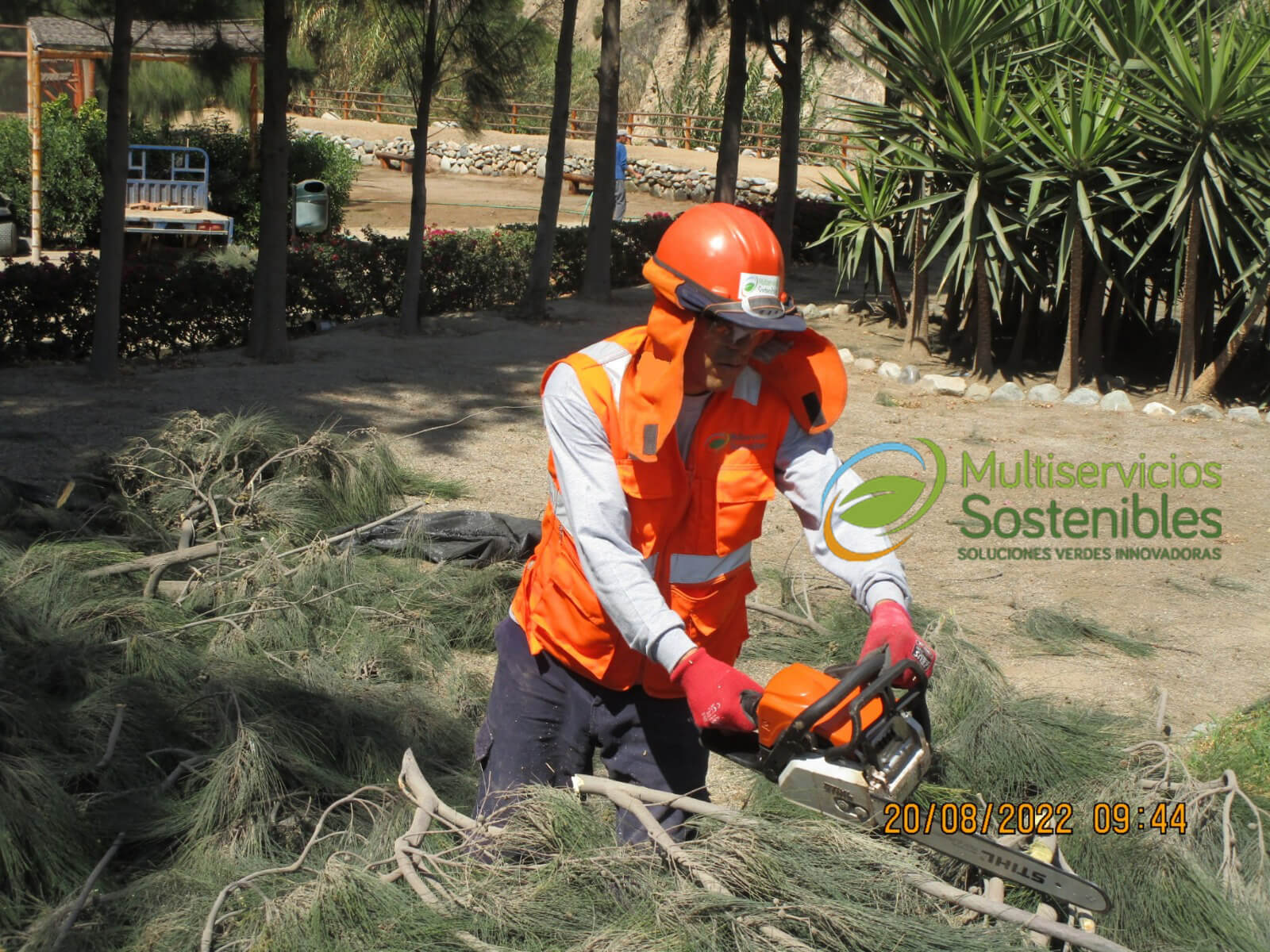 Uso-Correcto-de-la-Motosierra-para-actividades-de-arboricultura Uso-Correcto-de-la-Motosierra-para-actividades-de-arboricultura