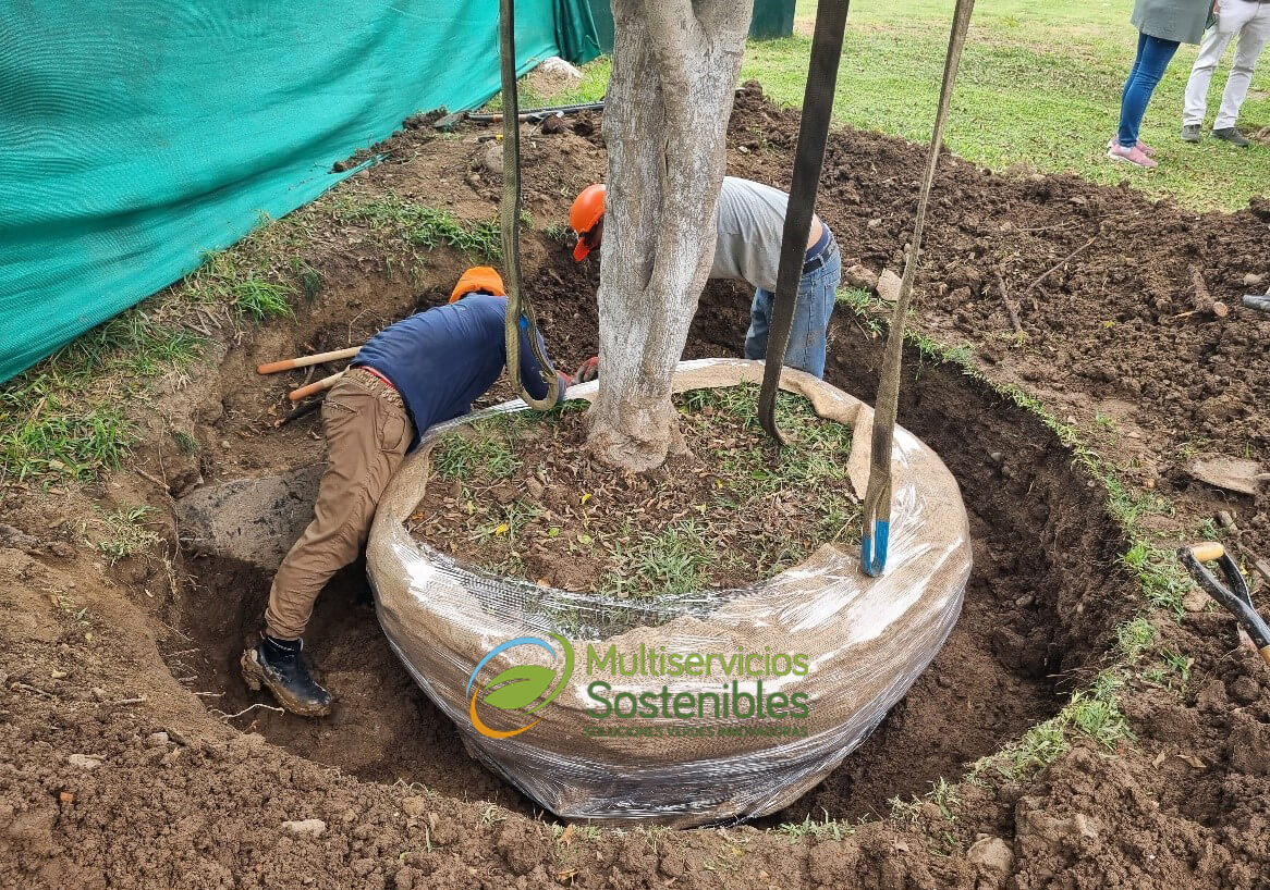 Conservación-y-Beneficios-para-el-Medio-Ambiente – peru